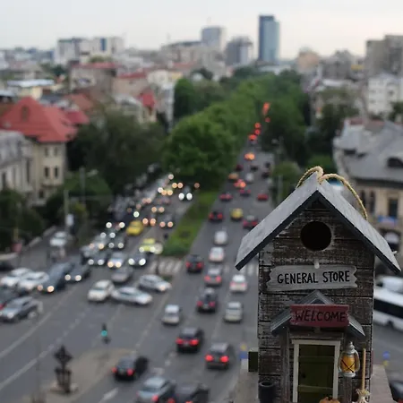 Scandinavian Style And Amazing View Over The City 布加勒斯特